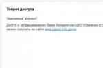 Власти ограничили доступ к нескольким оппозиционным интернет-СМИ