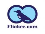 Yahoo! отвоевала домен Flicker.com